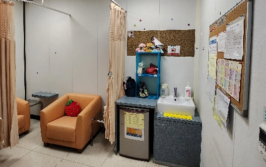 Maternal Health Protection Program